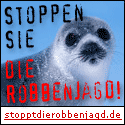 Stoppen Sie die Robbenjagd